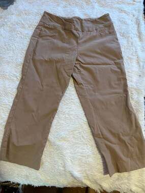 Lior Paris Jess Pants Size USA-12 Tan Pull-On Stretch